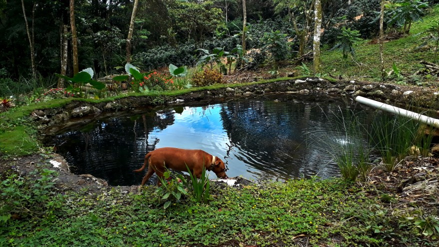 One year later small