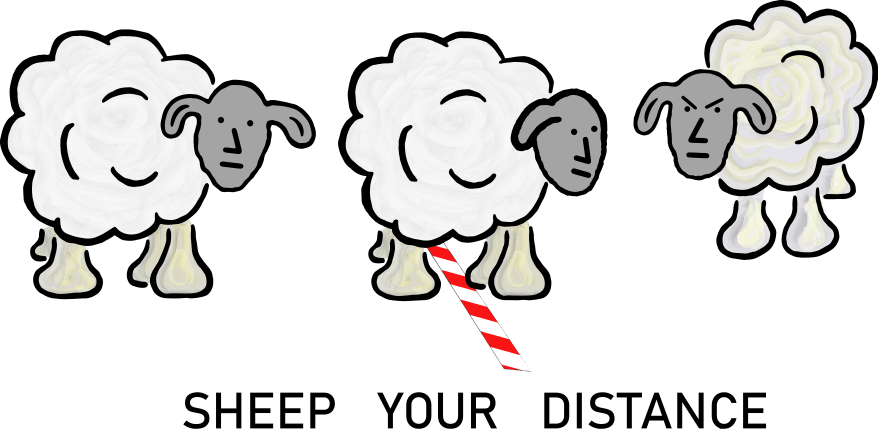 Sheep your distance 2